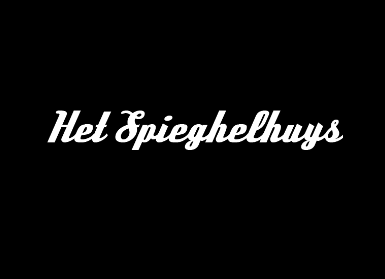 Het Spiegelhuys logo