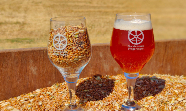 glas bier en glas graan Stadsbrouwerij Wageningen