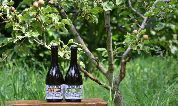 Twee ciders van Mooyland voor een appelboom