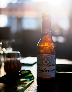 Budweiser flesje in een bar