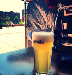 Hoegaarden Wit glas op tafel