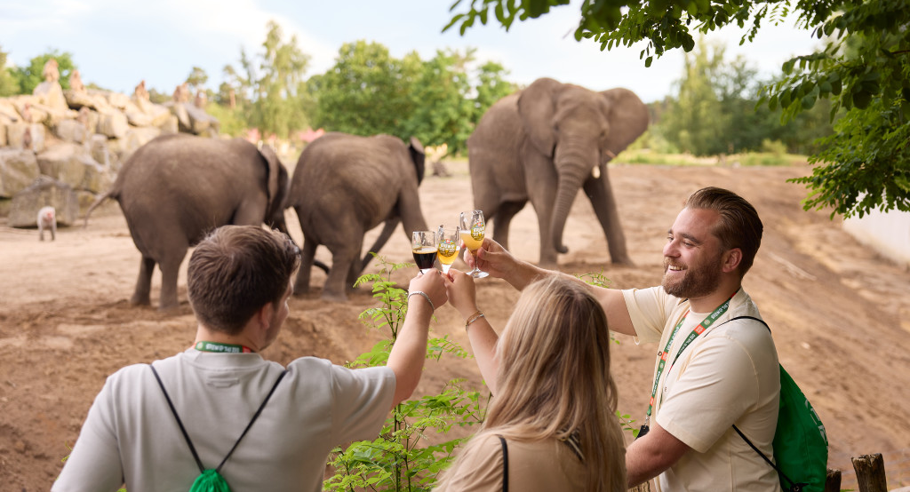 Drie mensen proosten voor wat olifanten