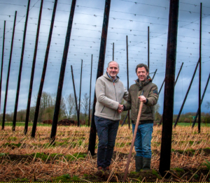 Peter Buelens en Joris Vanderveken in het PALM hopveld