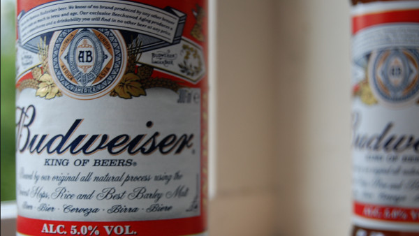 Budweiser Beer