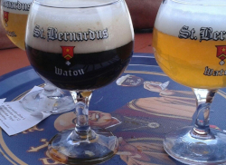 St. Bernardus bieren