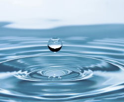 Water in bier // Pixabay