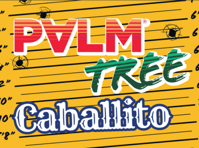 Palm Tree Caballito logo