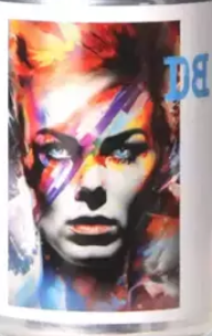 Dutch Bargain Zibi Stardust logo