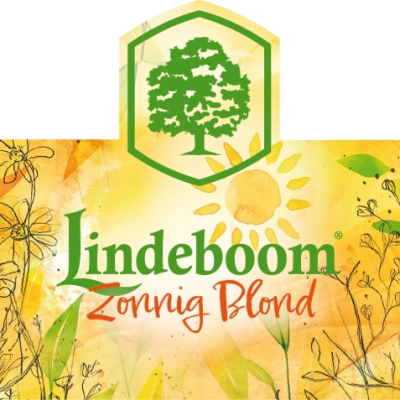 Lindeboom Zonnig Blond logo