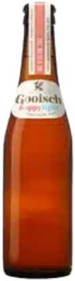 Gooisch Hoppy Light 0 5 Flesje