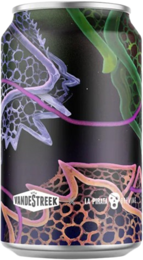 VandeStreek Imperial Rye Stout Speyside BA blikje