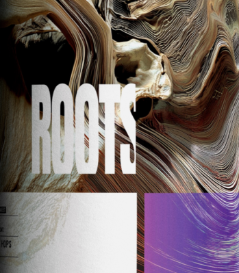 Verwrongen gezichtsafbeelding met kleurrijke stromingen en het woord ROOTS in witte tekst.
