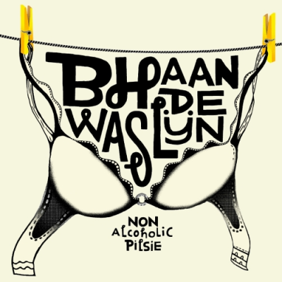 vandeStreek BH aan de Waslijn logo