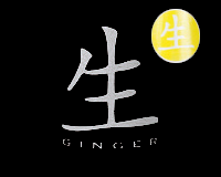 iKi Ginger logo