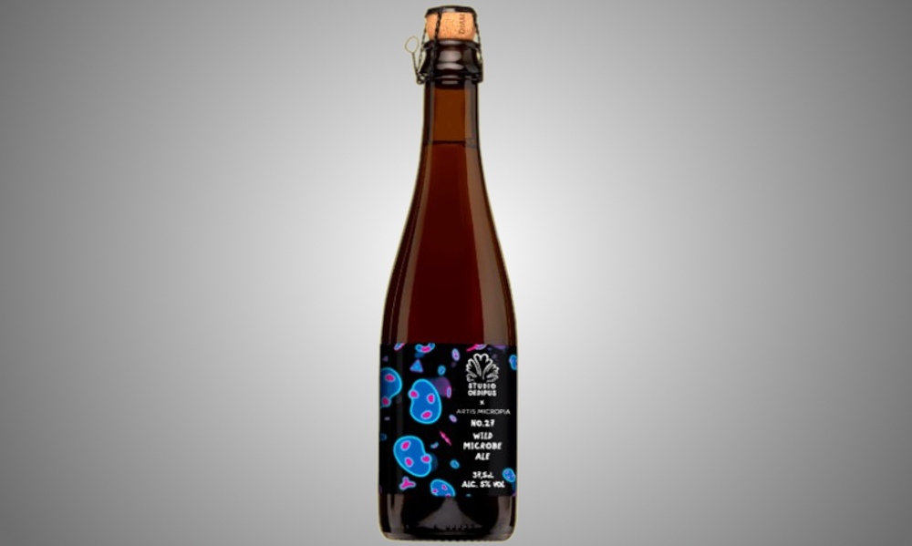 Studio Oedipus No. 27