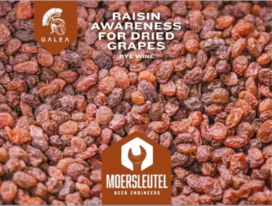 beer 5172994_67cab_hd