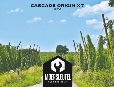 Moersleutel Cascade Origins x7