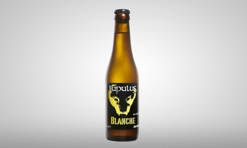 Lupulus | Lupulus Blanche