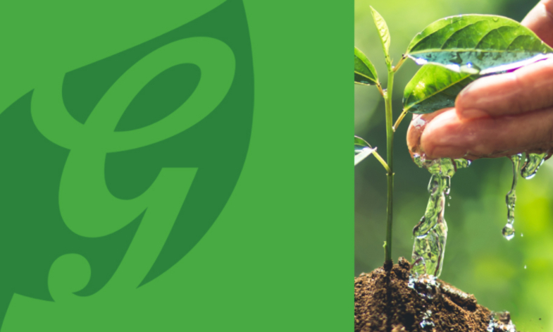 Grolsch en duurzaamheid