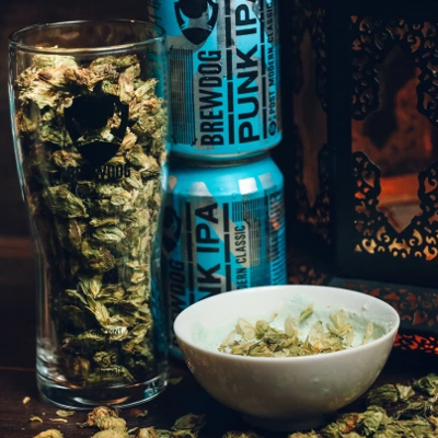 Brewdog komt met eigen bierhotel