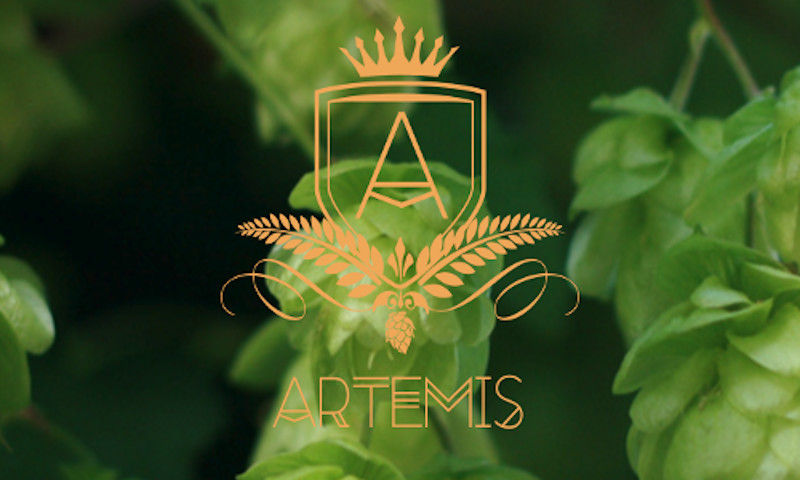 Artemis Logo