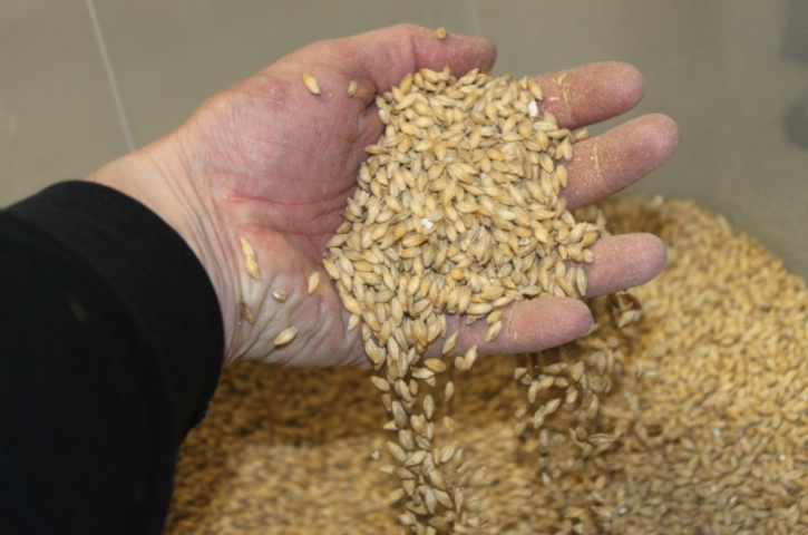 Brouwer Milan Dams met mout