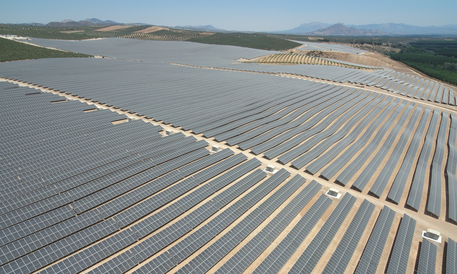 Zonnepark AB InBev in Spanje