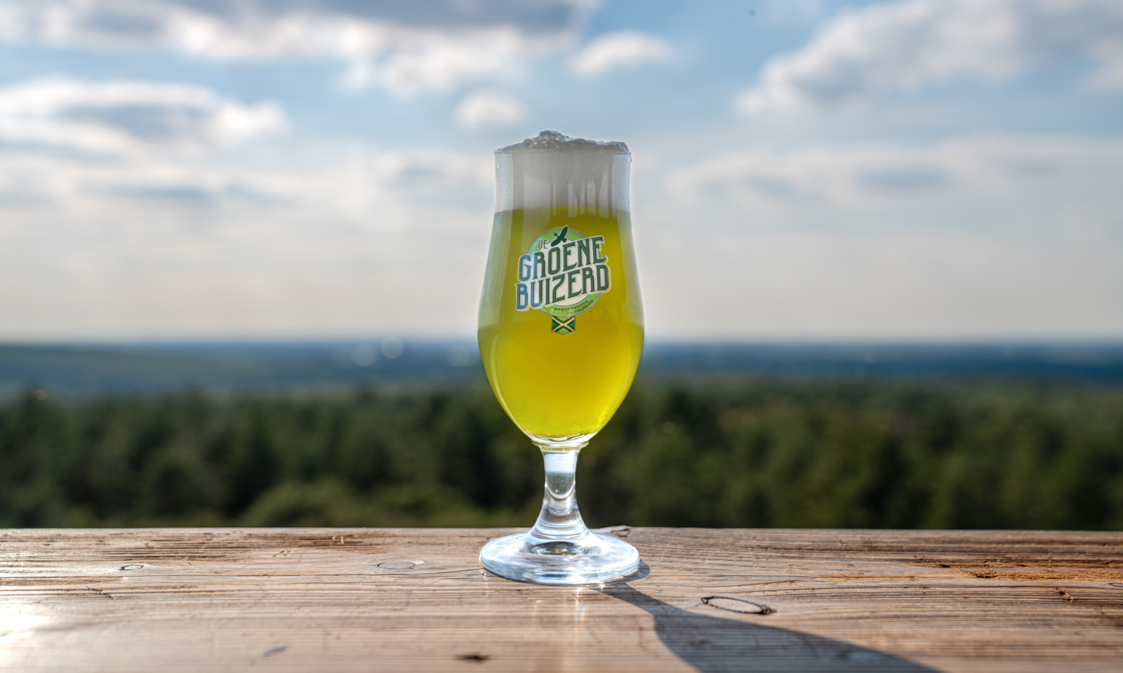 Groene Buizerd bier in de natuur