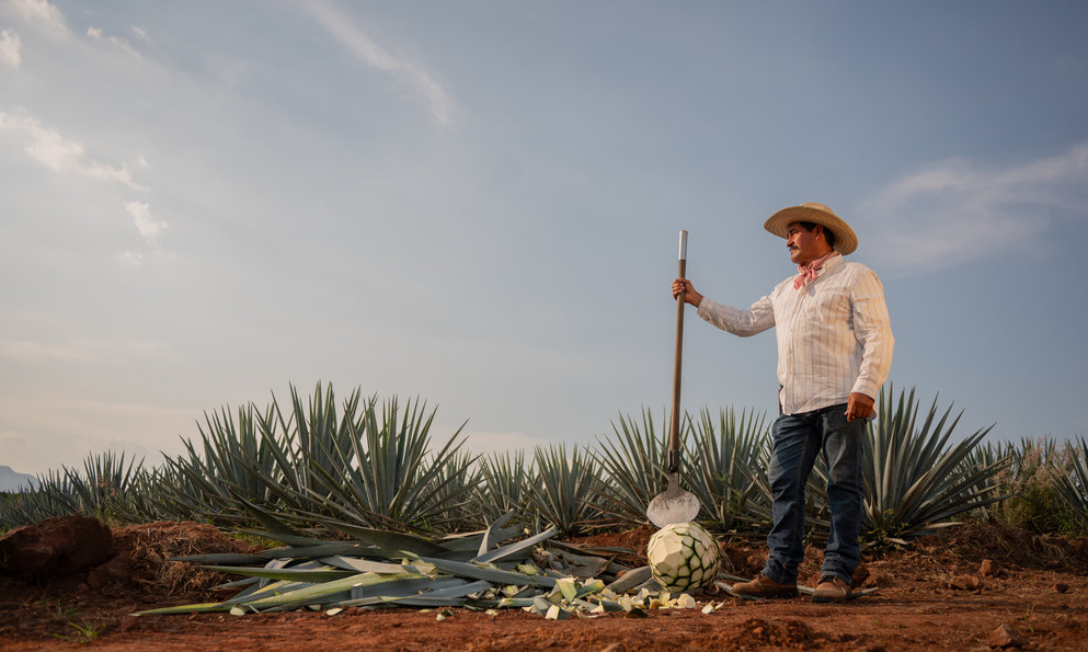 Latijns-Amerikaanse boer die meewerkte aan Grand Prestige Vatgerijpt 2023