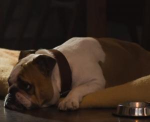 Hand reikt naar een glas bier op een houten tafel met een bierviltje.