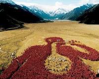 Een groep mensen heft een glas bier met het merk Carlton Draught in de lucht, buiten omgeven door bergen.
