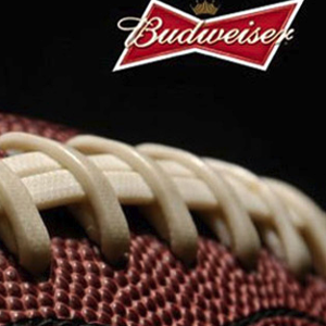 Budweiser Super Bowl commercial 2017 