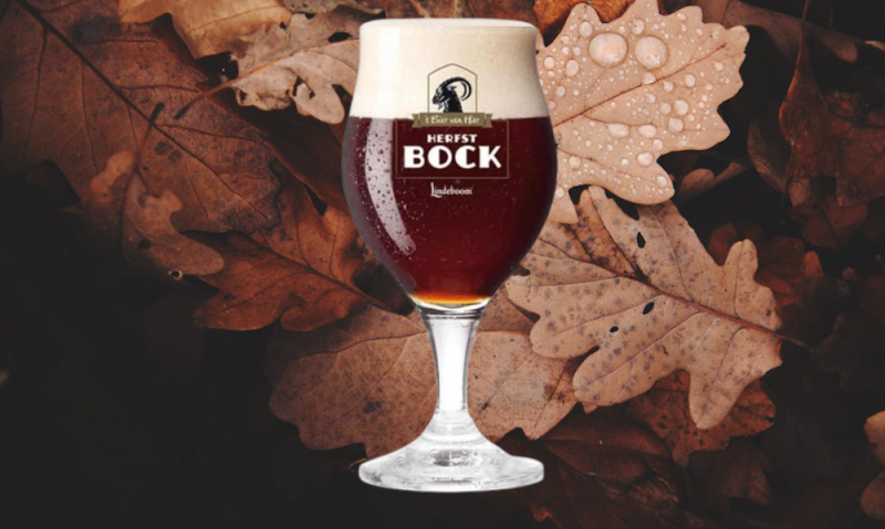 Lindeboom Herfstbock bierglas met gevallen bladeren op de achtergrond