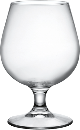 Bormioli Rocco Snifter Bierglas