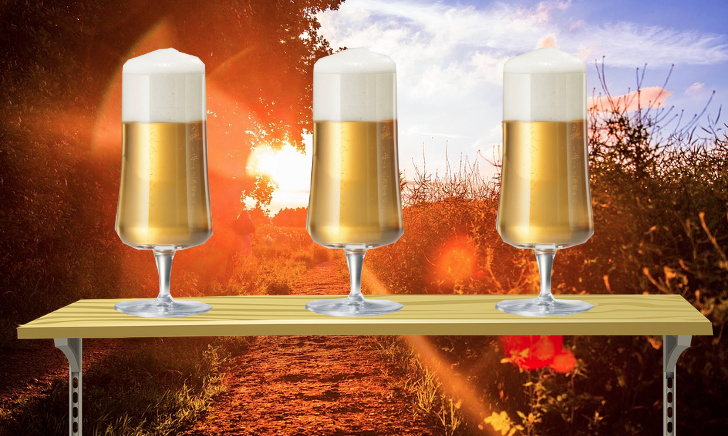 Schott Zwiesel Beer Basic