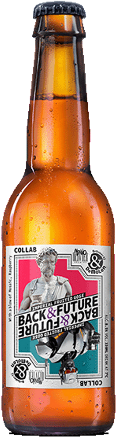 De Molen Back & Future flesje van 33cl