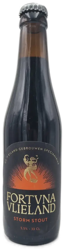 Fortuna Vlieland Storm Stout flesje van 33cl