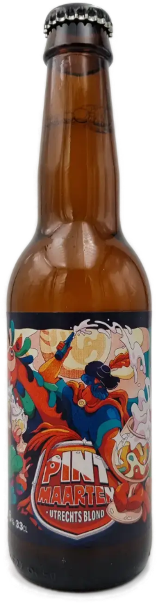 PINT Maarten bier flesje van 33cl