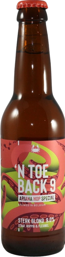 Scheldebrouwerij 'n Toeback 9 flesje van 33cl