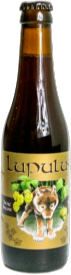 Lupulus Brune flesje van 33cl