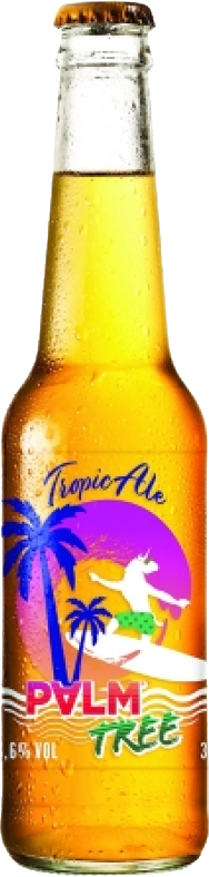 PalmTree bier van Palm flesje van 33cl